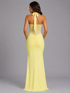 Halter Mesh Ruched Maxi Dress