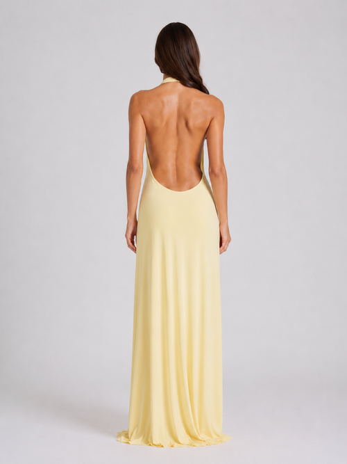 Backless Halterneck Maxi Dress