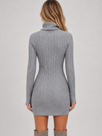 Ribbed Knit Mini Dress – Roll Neck Fitted Long Sleeve